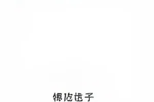 午夜删帖记录帖子消失时间分布图封面